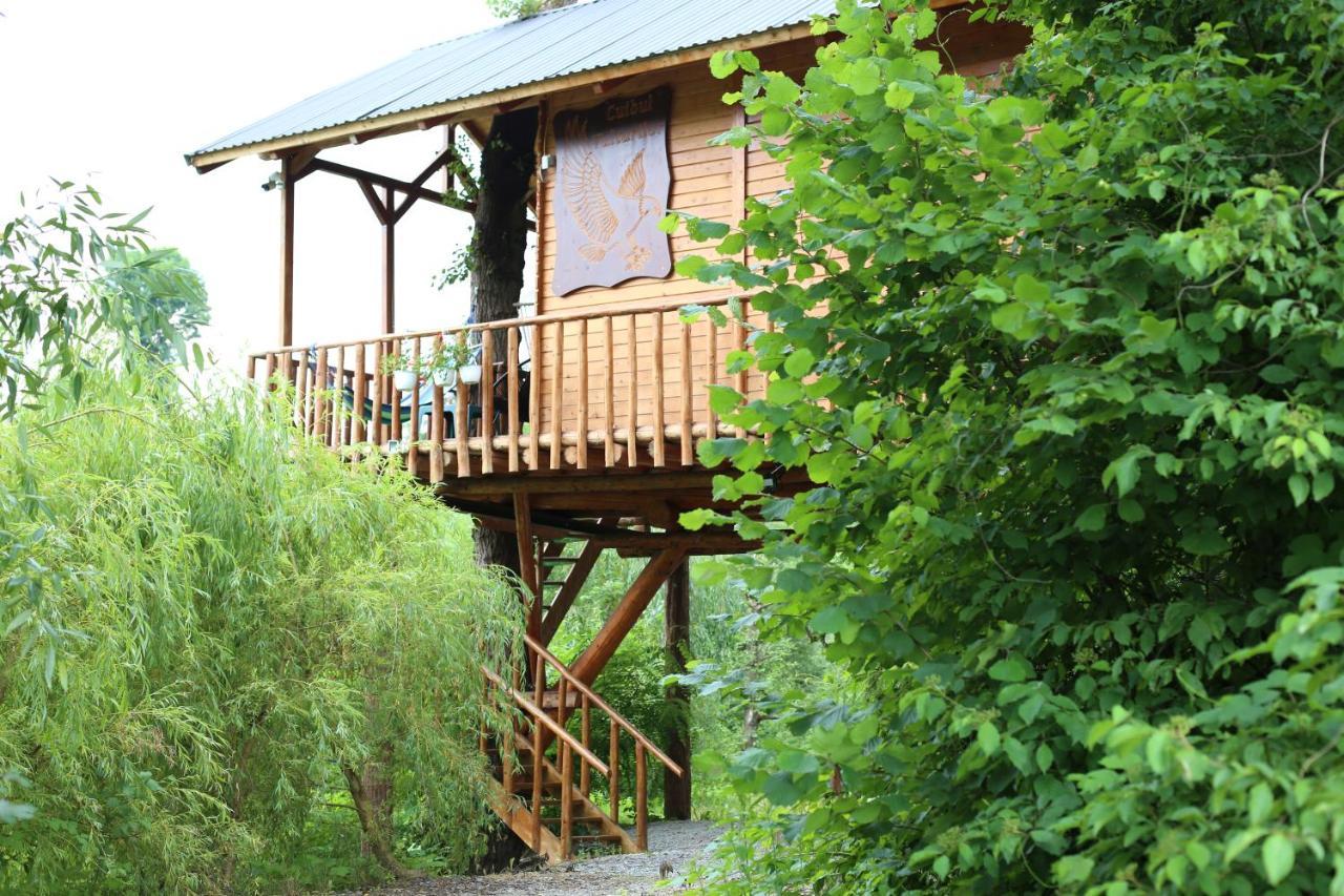 Cuibul Vulturilor - Casuta In Copac Villa Moisei Exterior photo